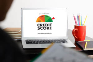 Understanding and Improving Credit Scores